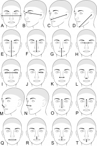 Pitt Researchers Study How Genes Influence Facial Appearance