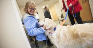 UPMC staff and their canines can apply to receive free training through the Animal Friends Therapets program thanks to a grant from The Beckwith Institute.