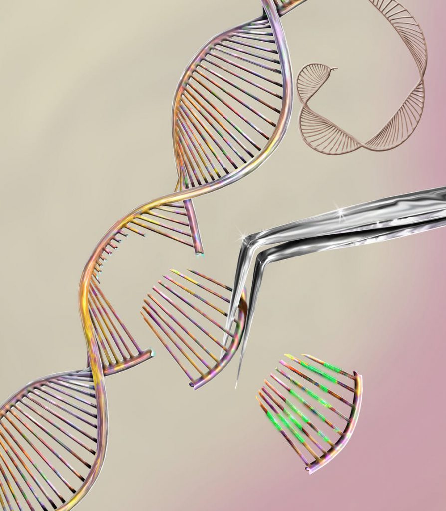 gene editing therapy transgenic genome