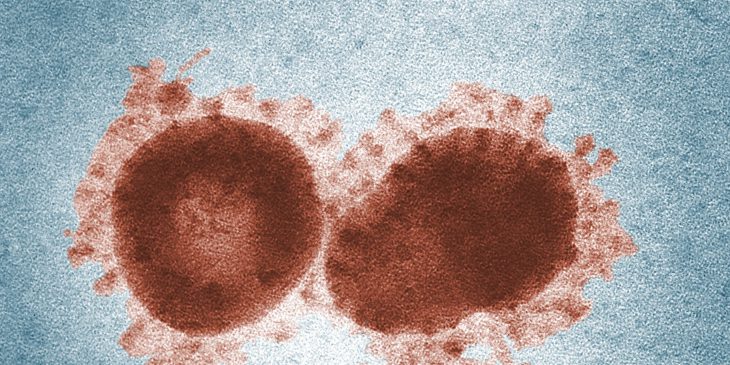 coronavirus COVID-19 SARS-CoV-2