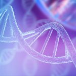 Pitt Researchers Seek to Decipher Regulatory DNA Code of Human Immune Cells