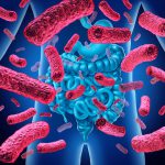 Pitt Study Homes in on Gut Bacteria That Help or Hurt Melanoma Treatment
