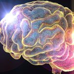 Pitt Brain Tumor Expert Awarded Prestigious Research Grant
