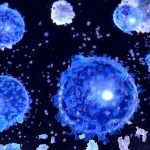 ‘Black Sheep’ of Helper T Cells May Hold Key to Precision Allergy Treatment 