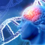 New Genetic Traits Influencing Alzheimer's Risk Uncovered by Pitt Public Health Researchers