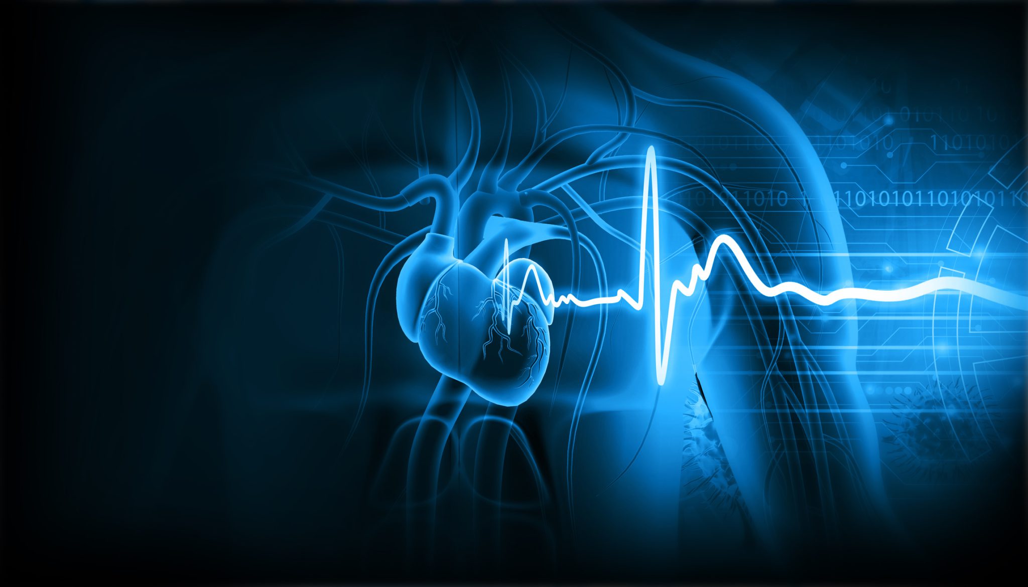 匹兹堡研究发现，教育与心脏健康存在长期联系