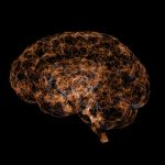 Pitt is building a molecular brain map to understand Alzheimer’s disease