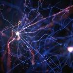 New brain cell atlas offers precision medicine framework for traumatic brain injury treatment
