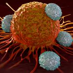 Two New Studies Show How Immunotherapies Collaborate to Boost T Cell Responses in Melanoma