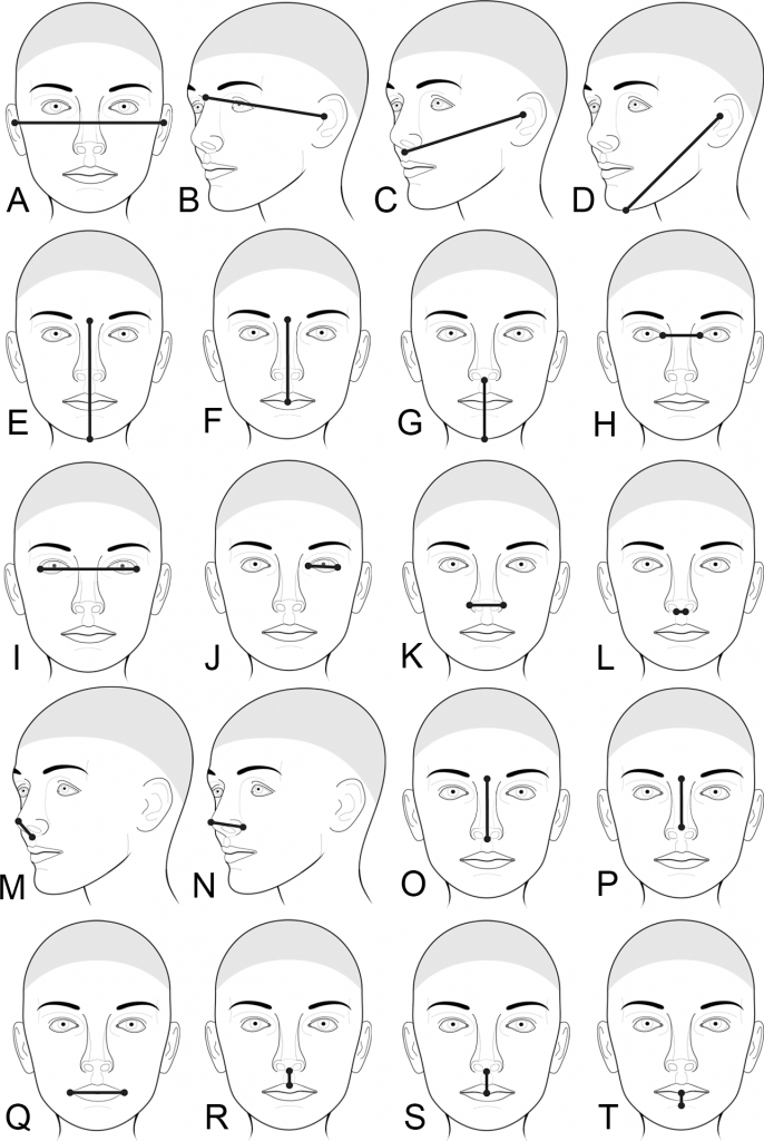 Triangular Face Genetic Pitt Researchers Study How Genes Influence Facial Appearance - UPMC ...