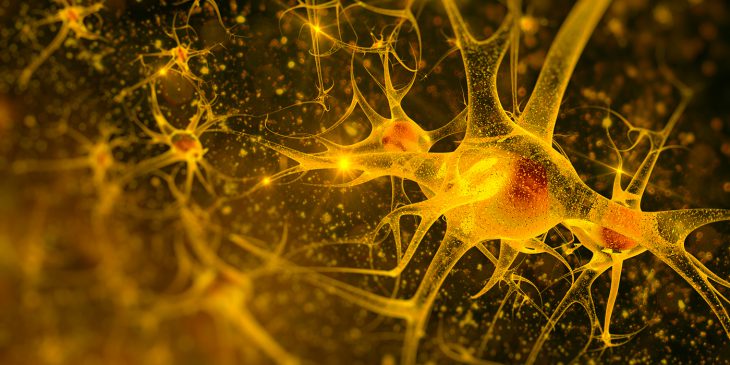 Pitt Brain Institute Scientific Director Receives NIH Award to Map Mind-Body Connections