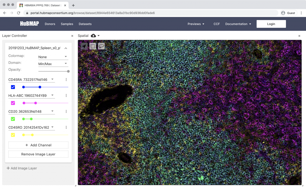 Pitt Helping to Create ‘Atlas’ for Human Body - UPMC & Pitt Health ...