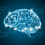 Human brain illustration with hormone biochemical concept background