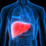 Liver Disease