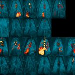 3dvr_Figure_ScaleBar_groups