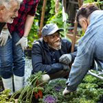 Group of people planting vegetable in greenhouse