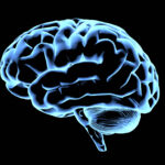 Abstract brain hologram. AI brain. Neon brain on dark background. Neurology research, artificial intelligence. Diagnosis of organs.