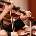 Hand of a musician playing the violin