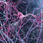 Medical Moment: How to Help Someone Having a Seizure Amazing world of braincells